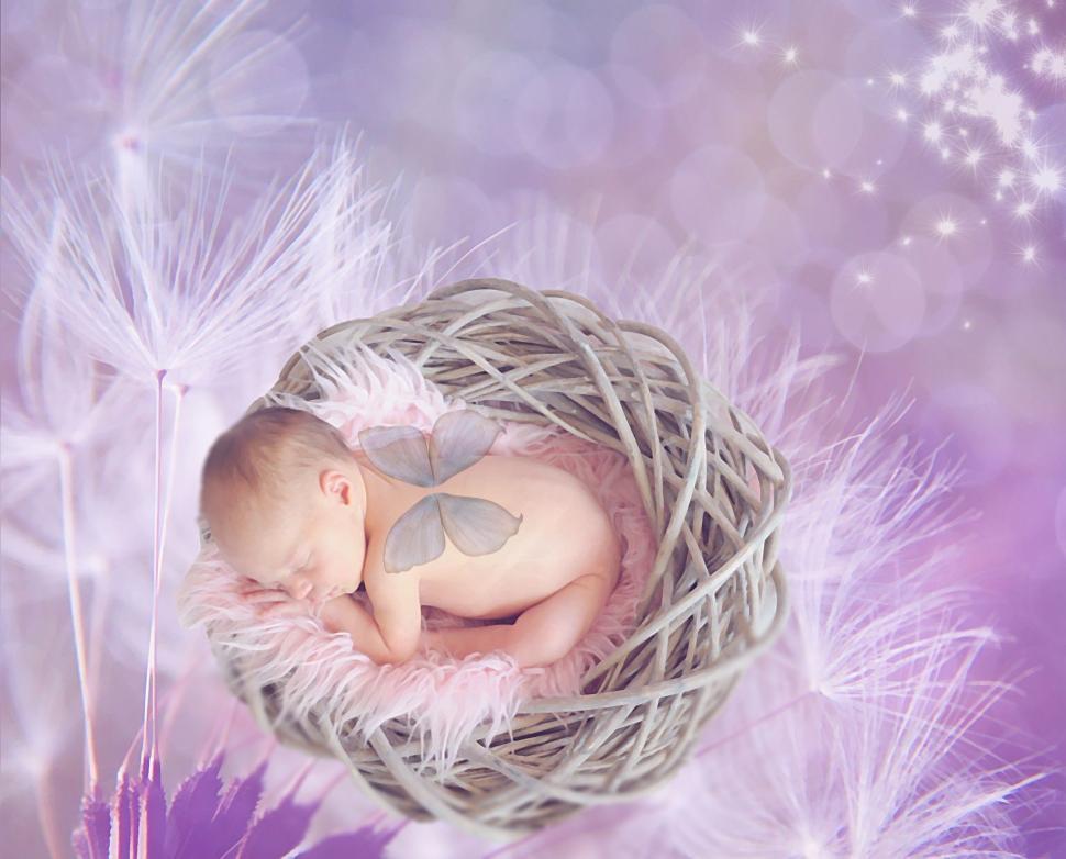Free Image of Newborn baby sleeping in a bird\'s nest 